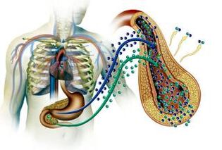 Damage to the pancreas in diabetes mellitus